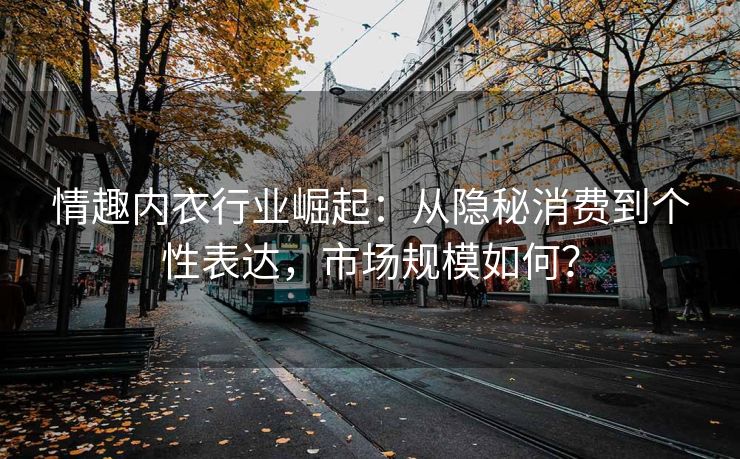 情趣内衣行业崛起：从隐秘消费到个性表达，市场规模如何？